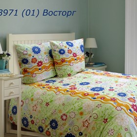 Промышленный дизайн: "Восторг"